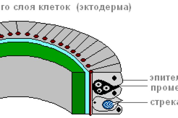 Кракен адрес даркнет
