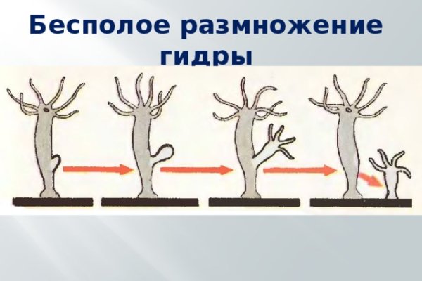 Кракен наркоплощадка