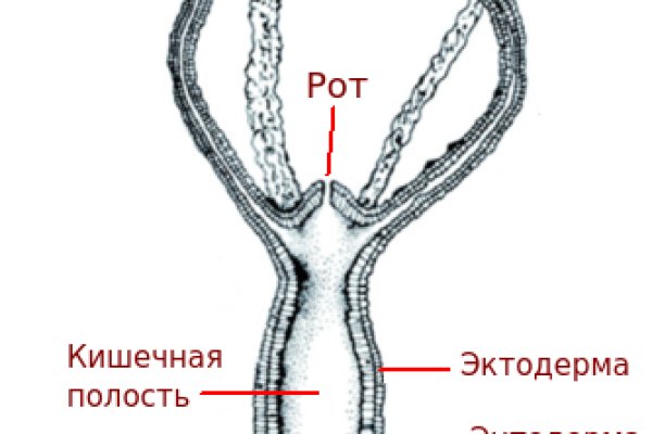 Наркотики заказать
